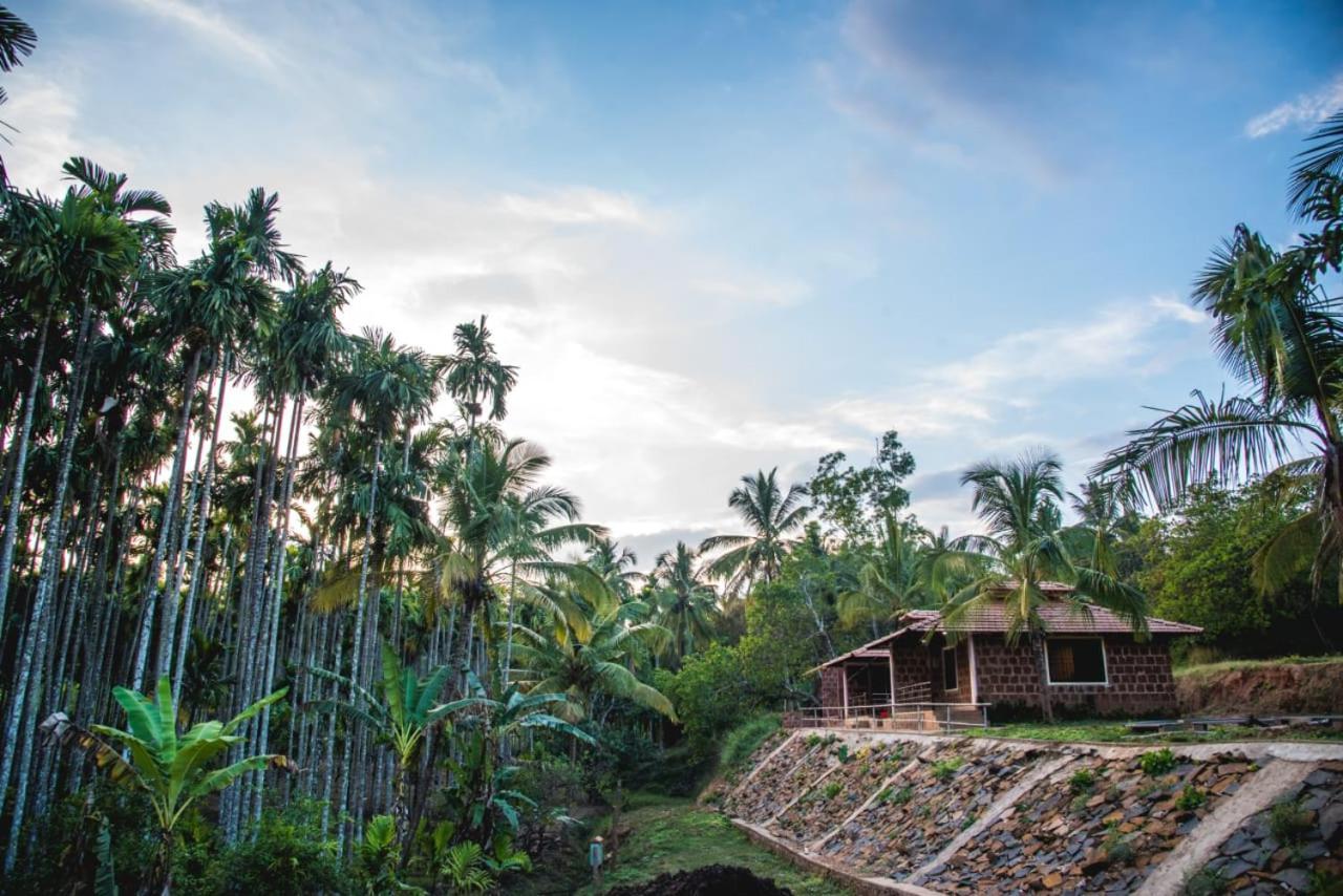 Dandeli Jungle Resort מראה חיצוני תמונה