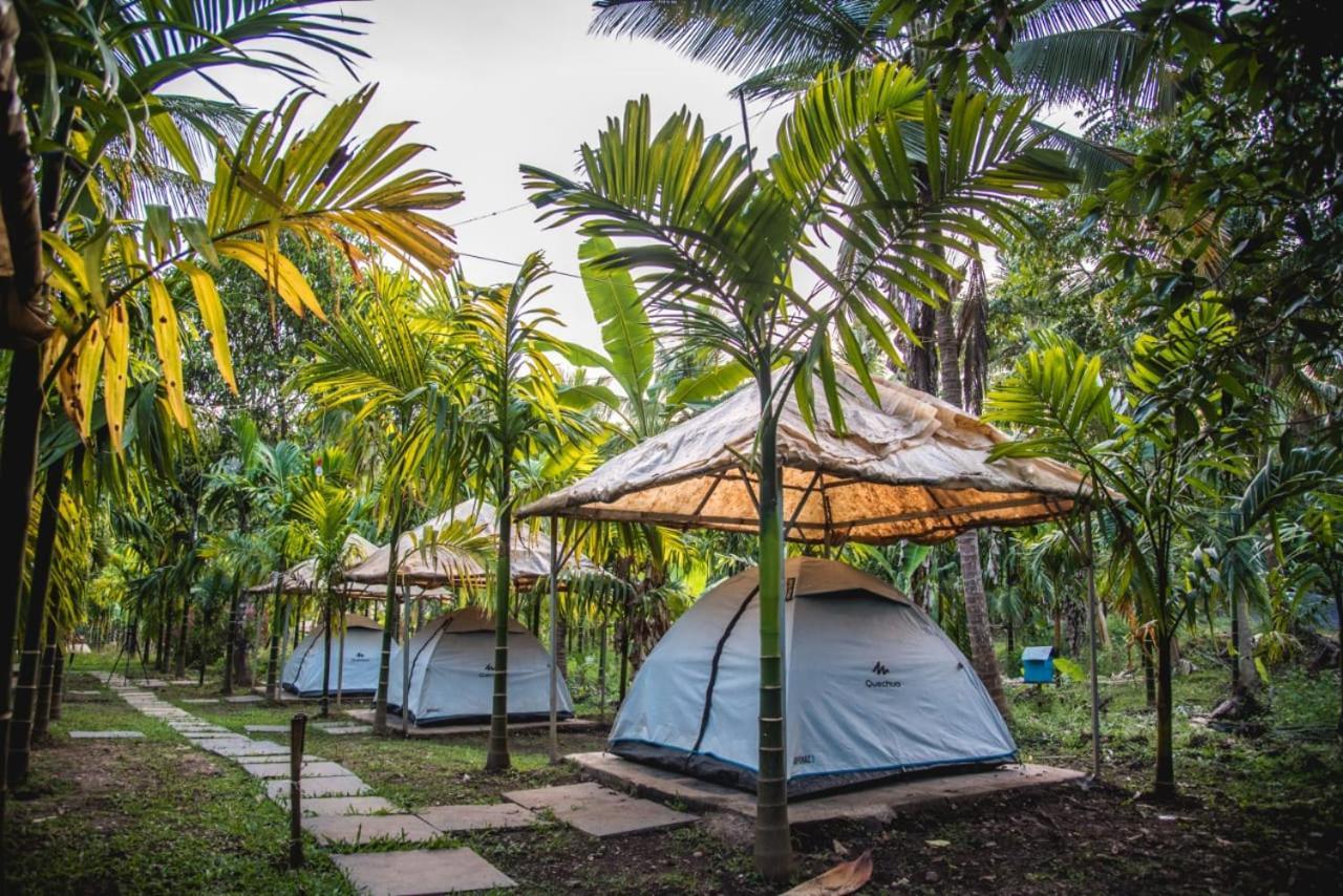 Dandeli Jungle Resort חדר תמונה